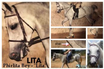 Phirlita Bey - "Lita"